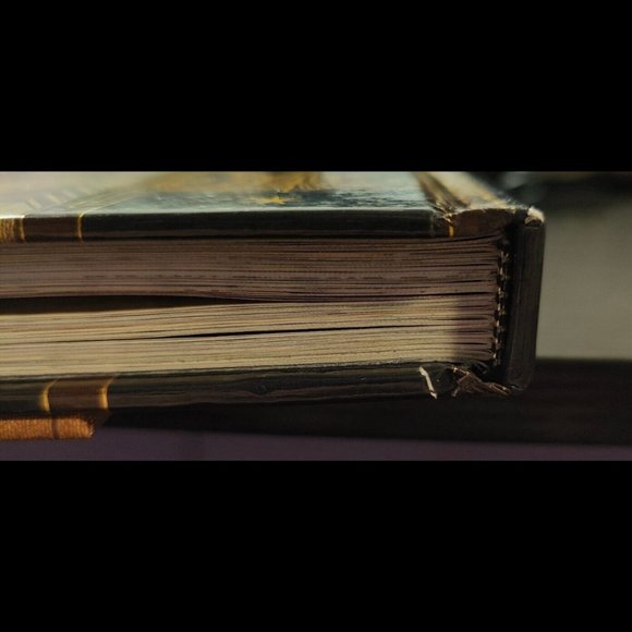 The Archive of Magic: Fantastic Beasts The Crimes of Grindlewald - Picture 8 of 8